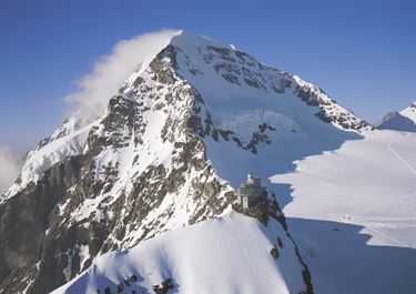 Jungfraujoch - Switzerland - Photo Gallery - White Mouse Burrow - Нора ...